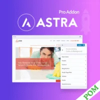 Astra WordPress Theme