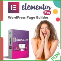 Elementor Pro – WordPress Page Builder + Translation + Kit Library